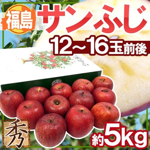 りんご 福島産 ”蜜入りサンふじ” 秀品 大玉12〜16玉 約5kg 化粧箱 送料無料