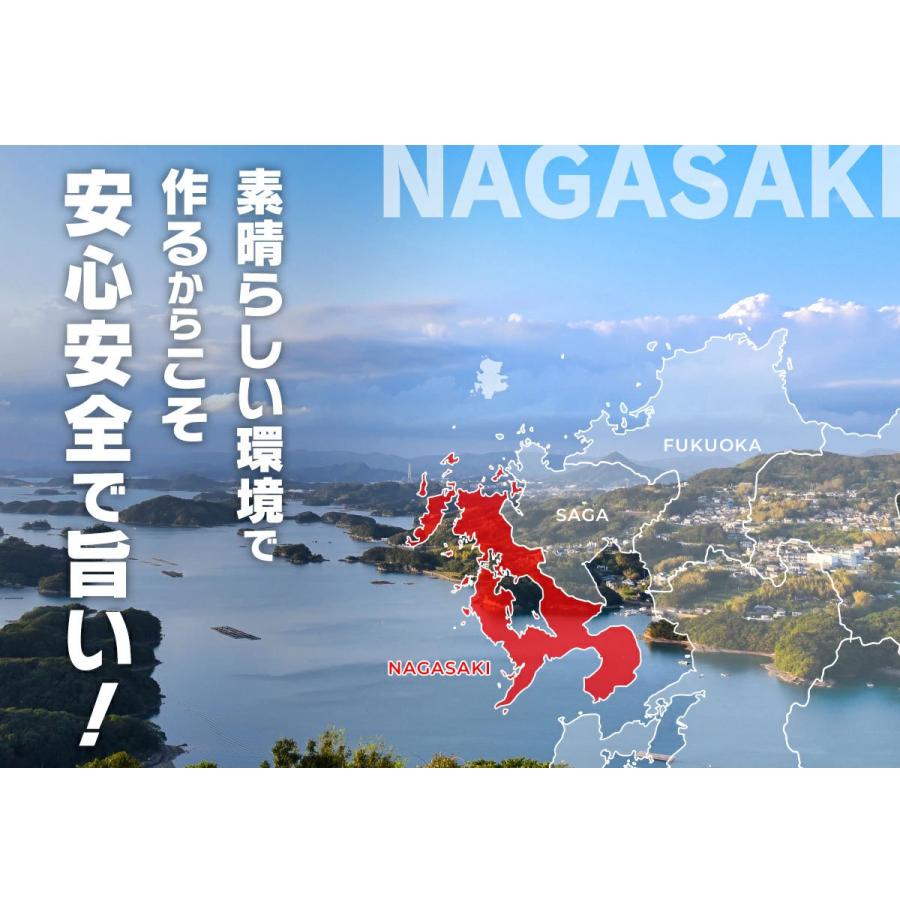 ちゃんぽん 本場長崎 生麺 半生 5食 自家製スープ付 送料無料 お取り寄せ 食品