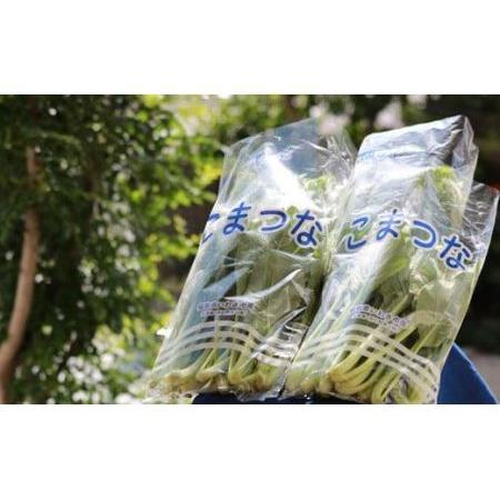 ふるさと納税 いわき浜の野菜セット（いわき市産の野菜詰め合わせセット） 福島県いわき市