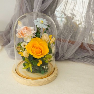 長型玻璃罩盅-小花園