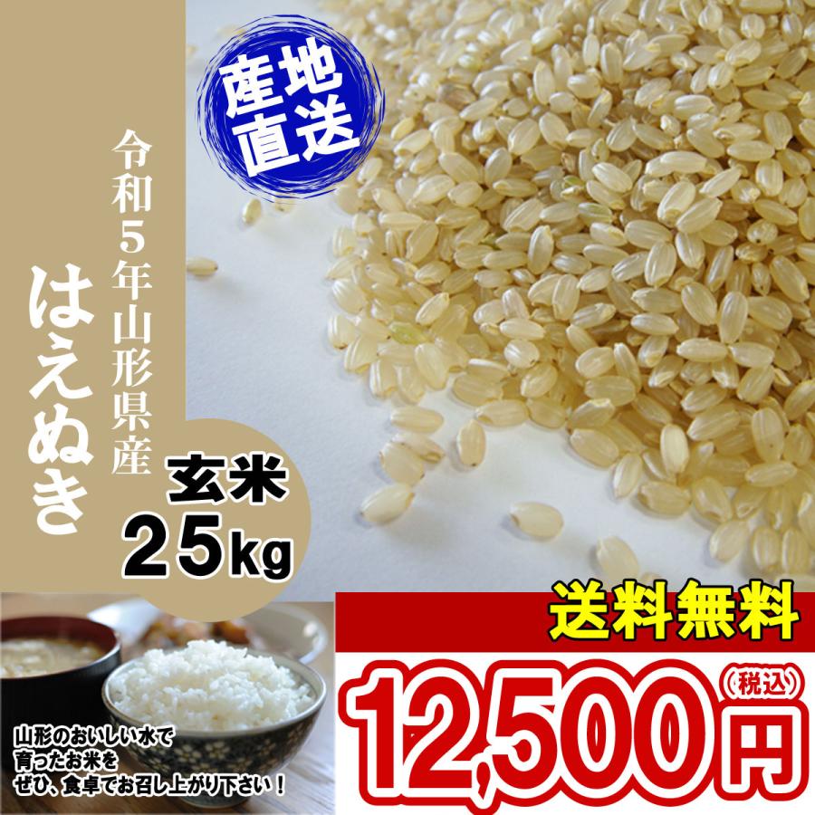 令和5年 山形県産 はえぬき 玄米 25kg(5kg×5)（送料無料）