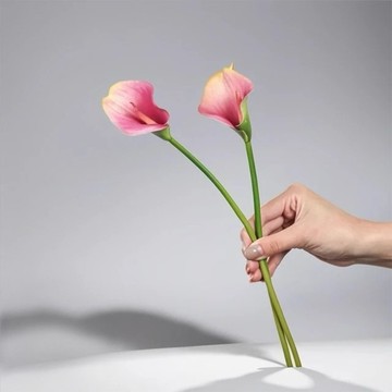 氣質仙女藕紫色海芋仿真花花材(5入組)