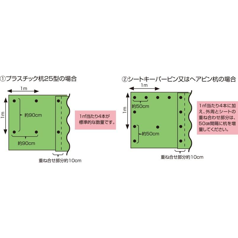 プラスチック杭25型 200本セット 25cm