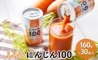 ふらの にんじん100 160g×30本入