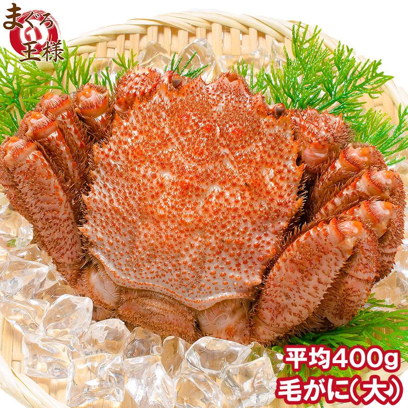 毛ガニ 毛がに 毛蟹 浜茹で 毛ガニ姿 平均 400g ×1尾 かに カニ 蟹 かに鍋 焼きガニ 単品おせち 海鮮おせち