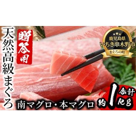 ふるさと納税 贈答用に！天然高級マグロ刺身 南マグロ刺身 本マグロ刺身 マグロ刺身 大トロ中トロ合計約1kg(木箱入り) 鹿児島県いちき串木野市