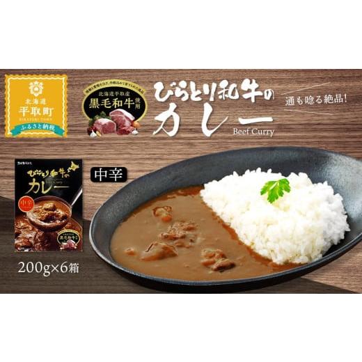 ふるさと納税 北海道 平取町 びらとり和牛カレーセット（B）中辛200g×6個