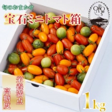 旬のおまかせ宝石ミニトマト箱 1kg(旧マルファーム)