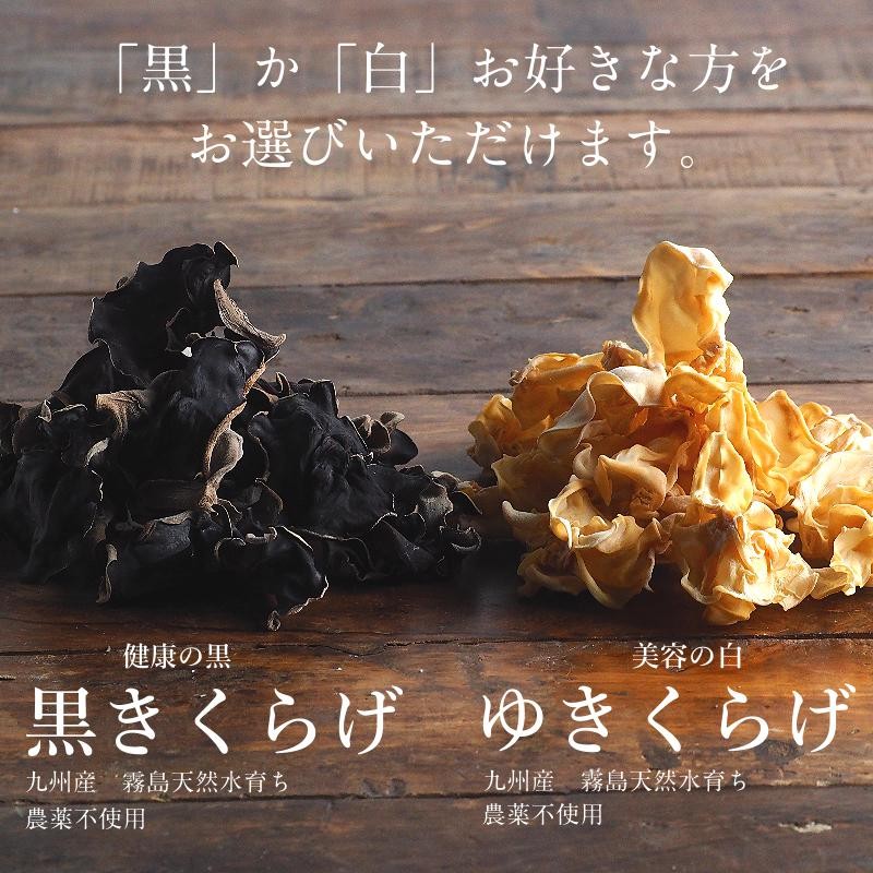 きくらげ (黒きくらげ or ゆきくらげ) 40g 国産 乾燥 干し 木耳 キクラゲ お試し ポイント消化 ダイエット きのこ キノコ ビタミンD  送料無料 | LINEショッピング