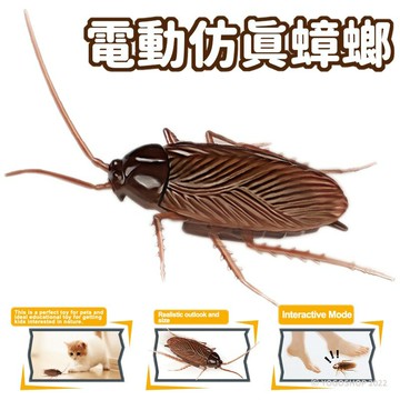 震動蟑螂 電動蟑螂 9902A /一個入(定150) 整人玩具 仿真 假蟑螂 蟑螂玩具 仿真蟑螂 貓玩具 昆蟲玩具 惡作劇 嚇人 搞笑交換禮物-CF151188【APP滿額下單10%點數(單一帳號最高5000點)】1/31止