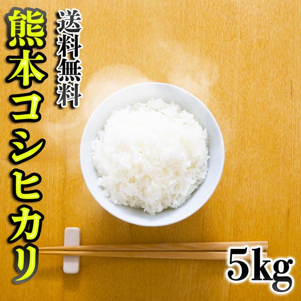 お米 米 5kg 白米 送料無料 熊本県産 こしひかり あすつく 新米 令和5年産 コシヒカリ 5kg1個 くまもとのお米 富田商店 とみた商店