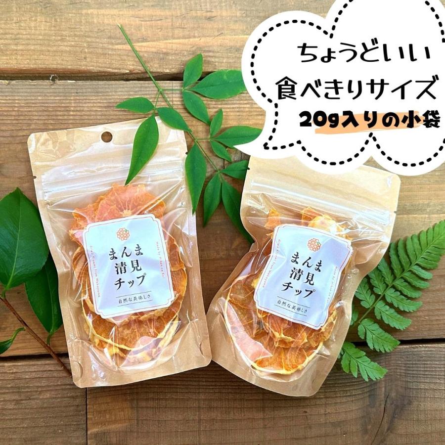 まんま清見(きよみ)チップ 200g(20ｇ×10袋) ドライフルーツ 和歌山県産 