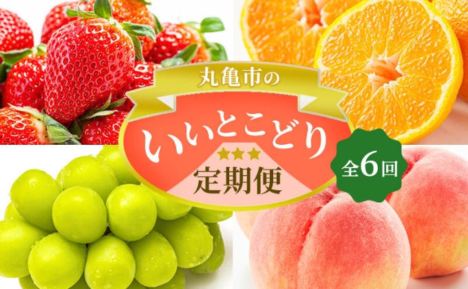 フルーツ定期便 丸亀市のいいとこどり定期便シャインマスカット 桃 ピオーネ いちご みかん さぬきひめ 定期配送 頒布会