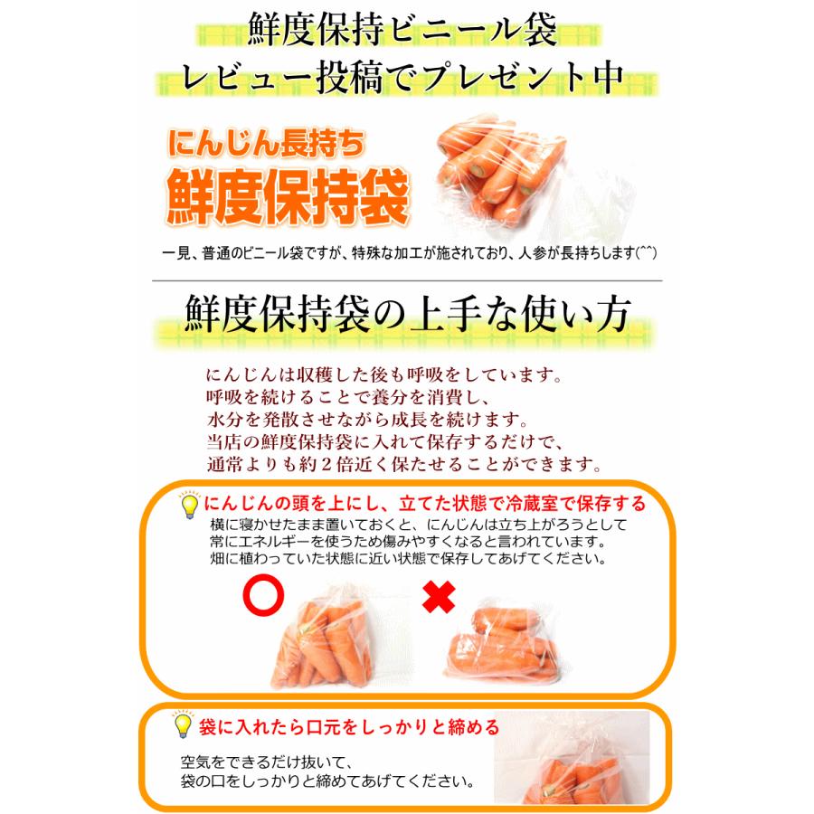 無農薬人参 ジュース用に最適 定期購入 産地が選べる無農薬にんじんＢ品５キロ×3回 計15キロ 訳あり 送料無料