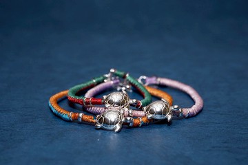 生物系-我是海龜