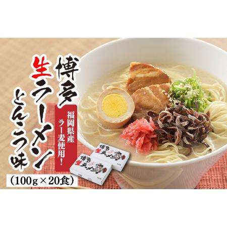 ふるさと納税 AF043.福岡県産「ラー麦」使用！博多生ラーメンとんこつ味（100ｇ×20食） 福岡県新宮町