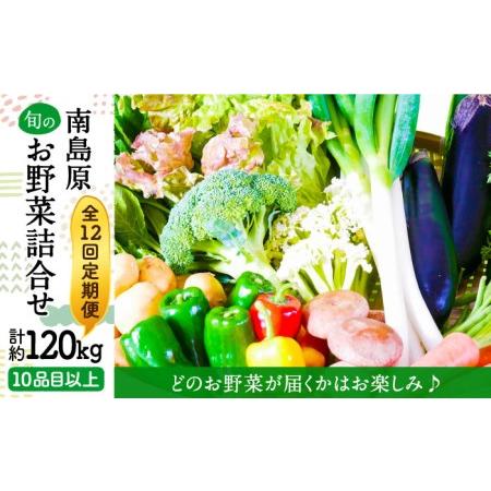 ふるさと納税 地元の農家さんが収穫した旬のお野菜 詰め合わせセット 地元の農家さんが収穫した旬のお野菜 詰め合わせセット 野.. 長崎県南島原市