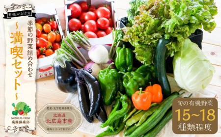 季節の野菜 詰め合わせ 15種類～18種類程度 ～有機野菜セットB～ 北海道北広島市