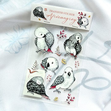 轉印貼紙 / 非洲灰鸚鵡圖鑑水晶轉印貼紙