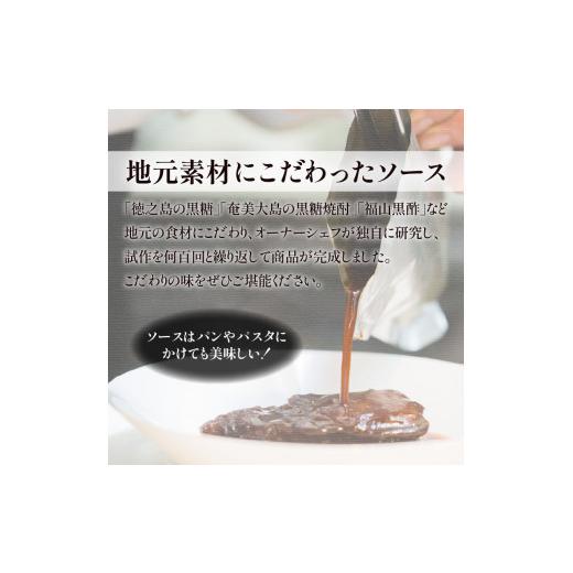 ふるさと納税 鹿児島県 鹿児島市 自慢の鹿児島県産 黒薩摩鶏　レトルトシチュー　K084-004