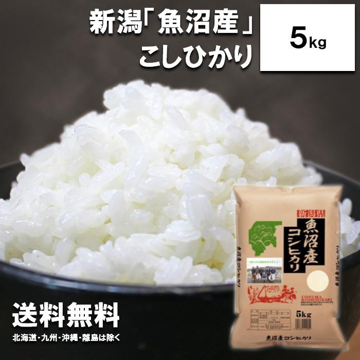 新米　田中米穀　新潟魚沼産こしひかり5kg　　新潟県産　お米　白米　コシヒカリ　令和5年度産