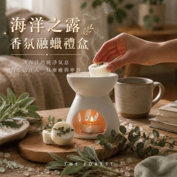 海洋之露香氛融蠟禮盒 | 4入香氛蠟塊+融蠟燈 | 海鹽鼠尾草香氛