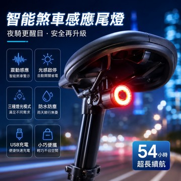 🌳自行車燈 煞車燈 智能煞車燈 感應燈 自行車後燈LED燈 夜騎燈尾燈 智能剎車燈  USB充電警示燈 自行車尾燈