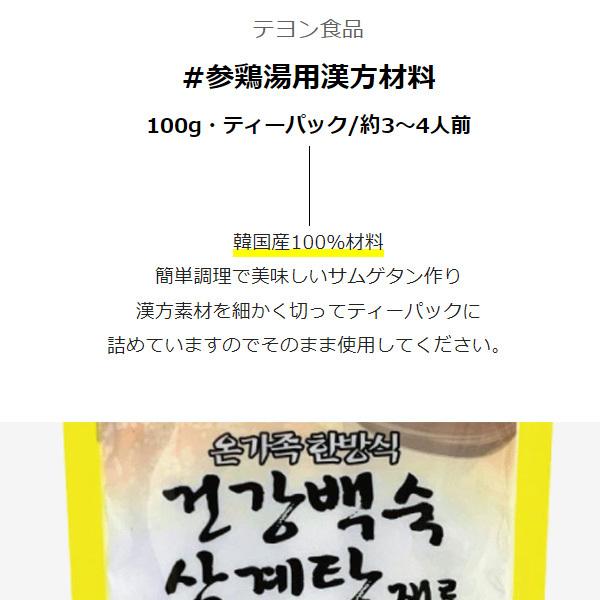 [テヨン食品] 参鶏湯用漢方材料 100g・ティーパック、約3〜4人前 韓国産100％材料 サムゲタン材料