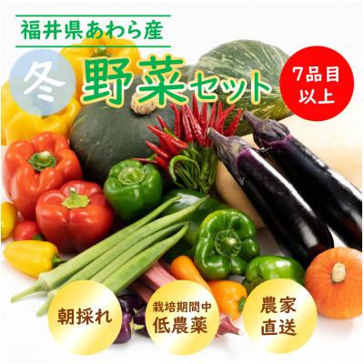 ふるさと納税 あわら市 農家直送 冬野菜セット 1箱 7品目以上 《元気に育った新鮮野菜!》