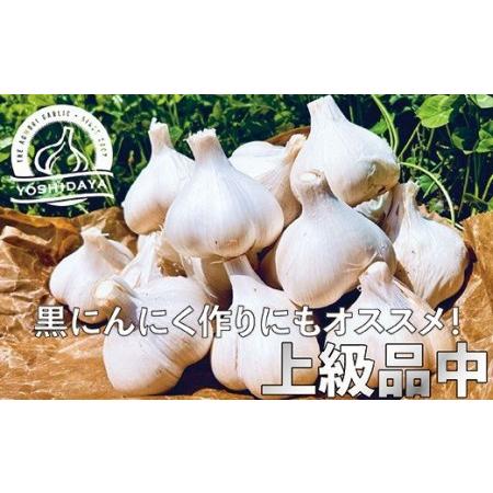 ふるさと納税 青森県産「にんにく・福地ホワイト種」　中サイズ・800g 青森県三戸町