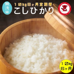  無洗米コシヒカリ 10kg 6ヶ月 一等米 