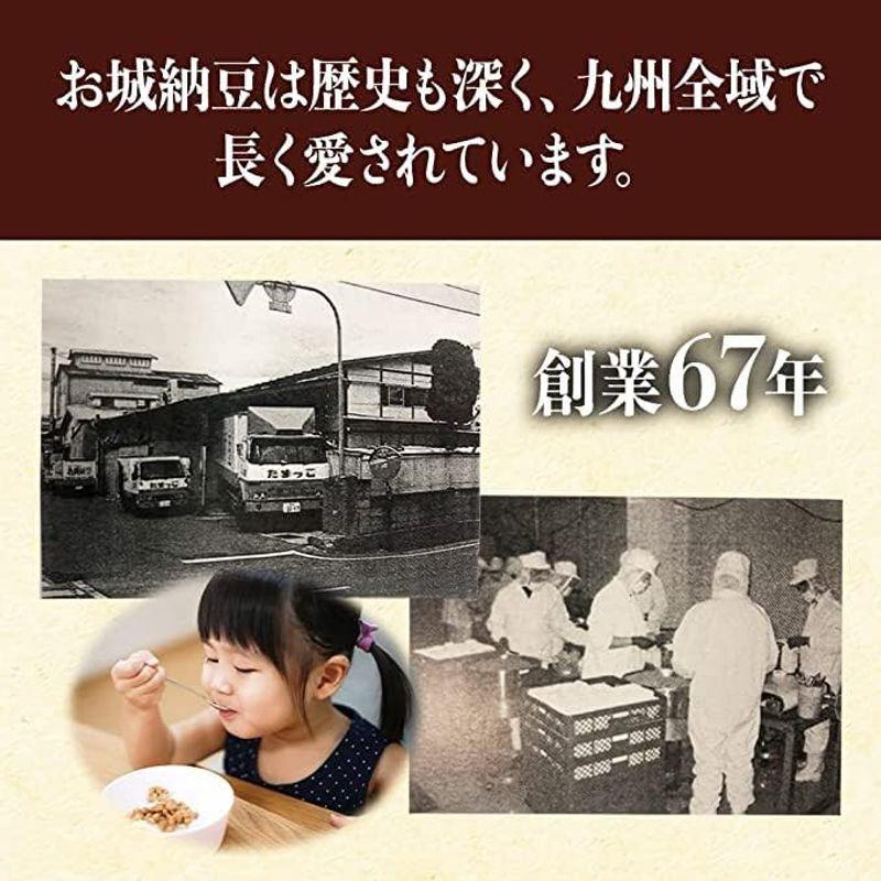 国産ひきわりスティック納豆 カツオ風味（20g×120本） 手が汚れない 味自慢 たんぱく質 カルシウム ナットウキナーゼ 冷凍保存商品 ひ