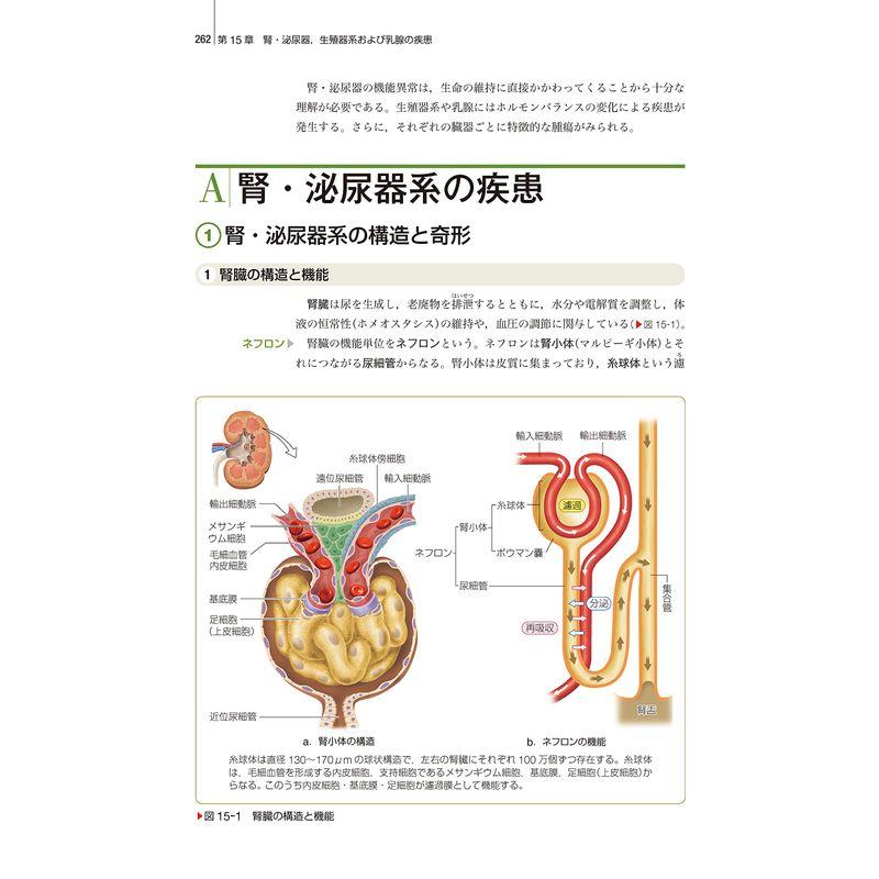 疾病のなりたちと回復の促進1 病理学 第6版