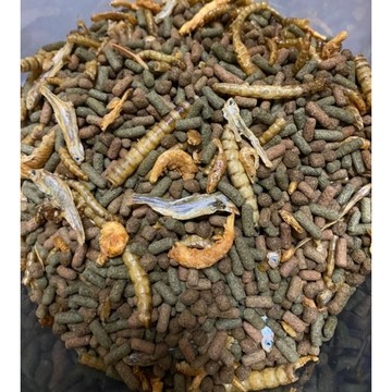 緻十合一烏龜飼料 水龜/烏龜/澤龜飼料 爬蟲 乾燥南極蝦 乾燥麵包蟲 鉤蝦 大麥蟲 黑殼蝦 小魚
