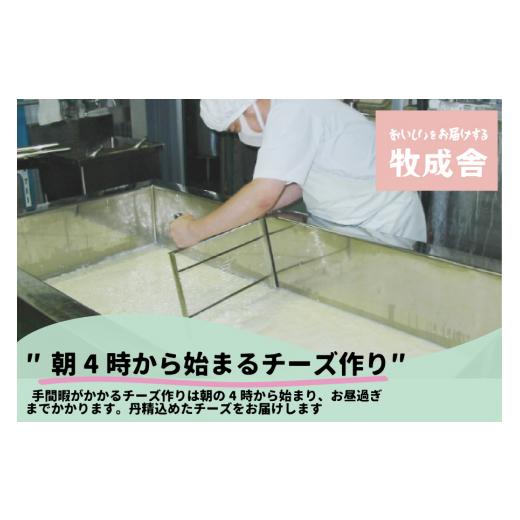 ふるさと納税 岐阜県 高山市 ＜牧成舎＞ 自家製チーズたっぷり ミニピザ 3枚セット  ピザ a566