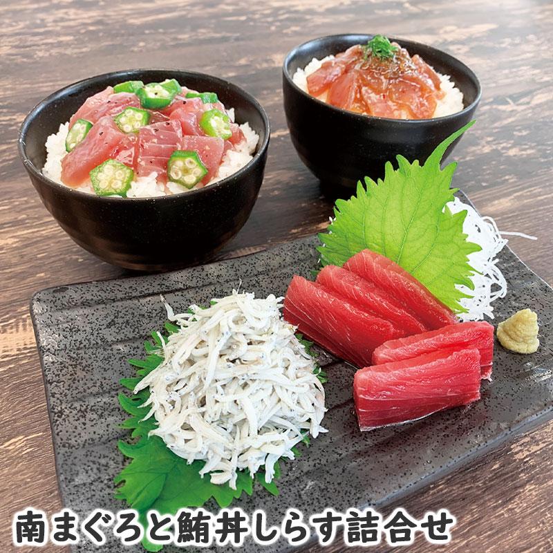 南まぐろと鮪丼しらす詰合せ お歳暮 御歳暮 歳暮 冬ギフト冬 ギフト 贈り物 お歳暮2023