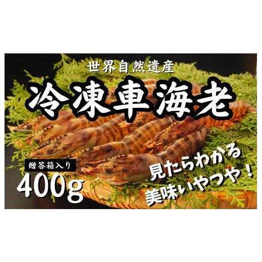 ふるさと納税 鹿児島県 宇検村 世界自然遺産の冷凍車えび400g　贈答箱入