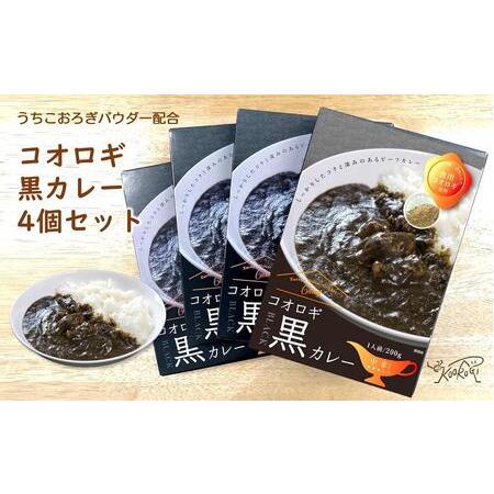 ふるさと納税 コオロギ黒カレーセット（200g×4個） 愛媛県内子町