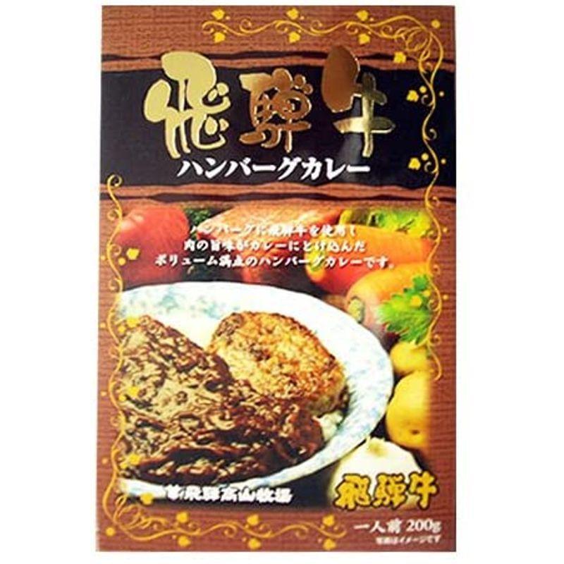 飛騨高山牧場 飛騨牛ハンバーグカレー 200g