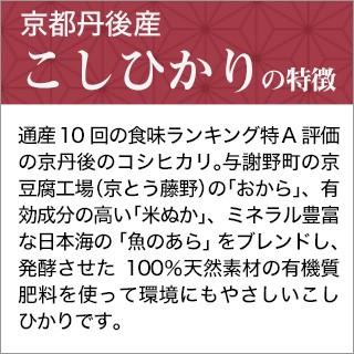 新米　令和5年(2023年) 京都丹後与謝野町産 こしひかり 300g(2合) × 3パック 真空パック