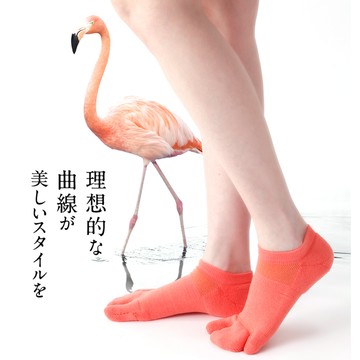 日本原裝進口 Flamingo笠原巖研發 健康調整襪(SOFT船型款)