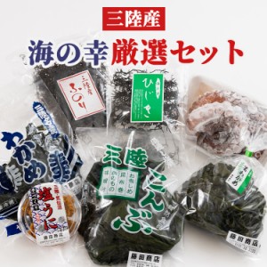 たこと海藻セット（三陸産） [代引不可] たこ 三陸産 塩ウニ お取り寄せ 冷凍 気仙沼 わかめ 茎わかめ 昆布 送料無料 三陸未来