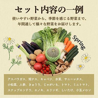 ふるさと納税 雲仙市 雲仙の野菜 16品目以上 フルーツ・キノコ付きの野菜セット 偶数月コース全6回