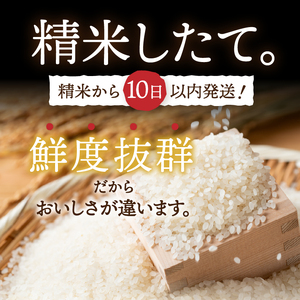 3人に1人がリピーター!☆全4回定期便☆ 岩手ふるさと米 10kg×4ヶ月 令和5年産 新米 一等米ひとめぼれ 東北有数のお米の産地 岩手県奥州市産[U0151]