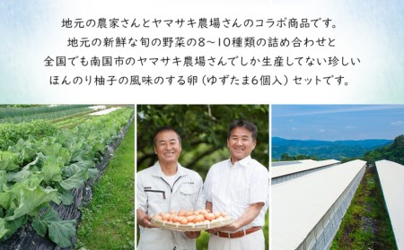 高知県産　南国土佐の季節野菜と卵（ゆずたま）の詰め合わせセット