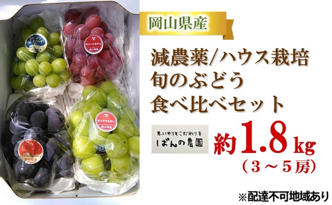 ぶどう 2024年 先行予約 旬のぶどう食べ比べセット 約1.8kg 3～5房 減農薬／ハウス栽培 ブドウ 葡萄  岡山県産 国産 フルーツ 果物 ギフト ばんの農園