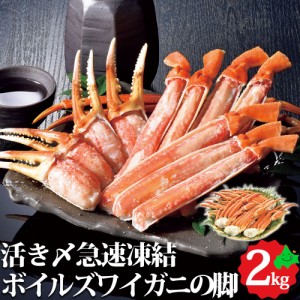 北海道 海鮮 ボイル ズワイガニ の脚 1.5kg（5～7肩入） 北海道加工 ずわいがに 蟹 かに お取り寄せ 海産物 冬 ギフト 冷凍 御歳暮