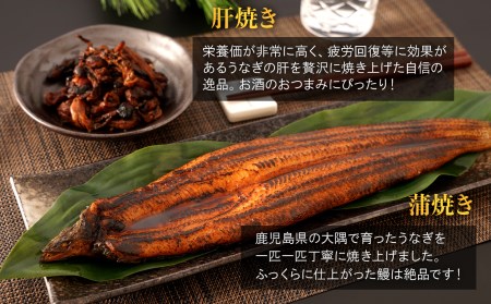 鹿児島県大隅産　特大うなぎ蒲焼200g 1尾・鰻の肝焼き100g×2袋セット