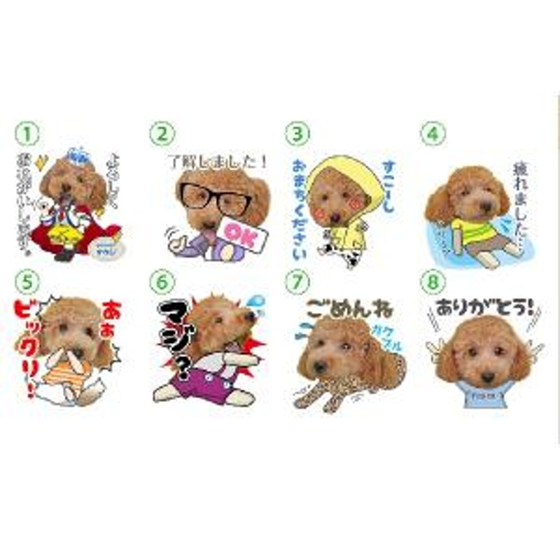 うちの子LINEスタンプ（日常会話 男の子セット） 写真でつくるオリジナルLINEスタンプ 犬用 | LINEブランドカタログ