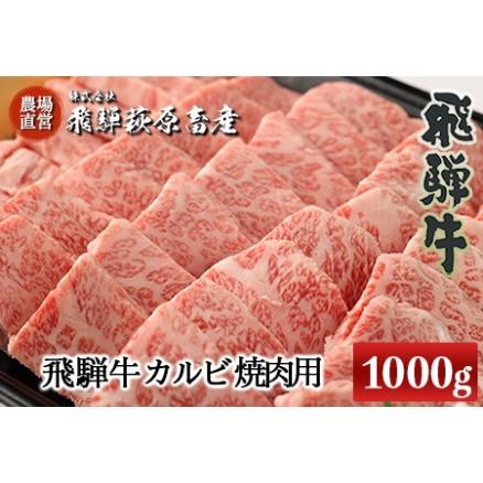 ふるさと納税 たっぷり大容量！飛騨牛カルビ焼肉用（1kg）最高級 国産 牛肉 ブランド牛 和牛  岐阜県下呂市